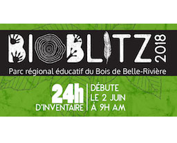 BioBlitz au Parc régional éducatif du Bois de Belle-Rivière